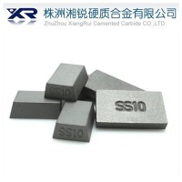 SS10 tungsten carbide tip 20x12x3mm